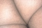 IMG_1046.jpeg