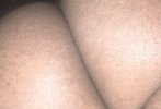 IMG_1046.jpeg