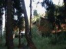 Tumblr_l_165405295789627.jpg