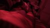 36C76BCD-6CF3-4F0A-9EE2-627120BF2B27.jpeg