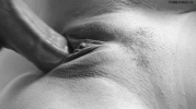 slow_mo_pussy_fu-8871.gif