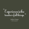 19054-experience-is-the-teacher-of-all-things[1].png