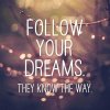 best-dreams-aspiration-quotes-on-life-Follow-your-dreams-come-true-quotes[1].jpg