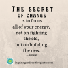 The-secret-of-change-is-to-focus-all-of-your-energy-not-on-fighting-the-old-but-on-building-th...png