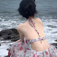 shesellsseashells