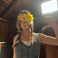 daffodil