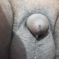 TinyDick_Mm