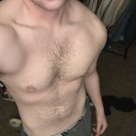 Bull19