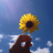 LilyBlr
