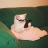 Miss_Meow